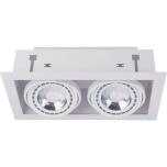 T9574  DOWNLIGHT WHITE II ES111